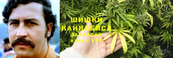apvp Алзамай