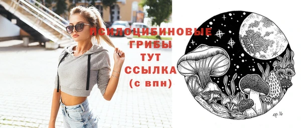 apvp Алзамай