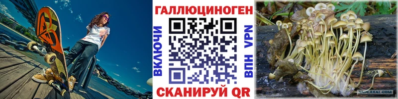 Псилоцибиновые грибы GOLDEN TEACHER  цена наркотик  Ядрин 