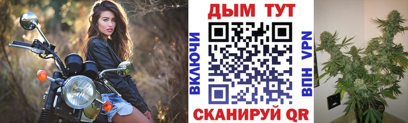 Канабис ГИДРОПОН  Ядрин 